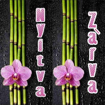 Nyitva-zárva 01 - bambuszos