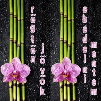 Rögtön jövök - Ebédelni mentem 01 - bambuszos