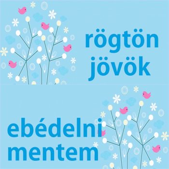 Rögtön jövök - Ebédelni mentem 08 - kék virágos