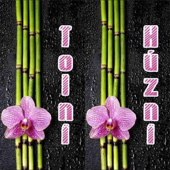 Tolni húzni 01 - bambuszos