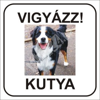 Vigyázz kutya felirat