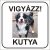 Vigyázz kutya felirat