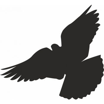 Madár riasztó matrica ablakra