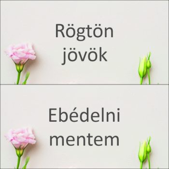 Rögtön jövök-Ebédelni mentem 7 - tábla + damil