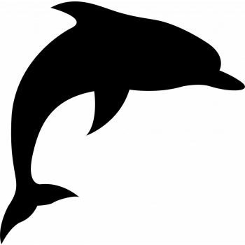Falmatrica - delfin