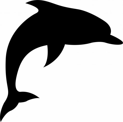 Falmatrica - delfin