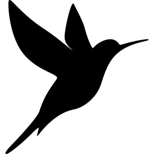 Falmatrica - kolibri