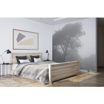 Tapéta dekor - erdő